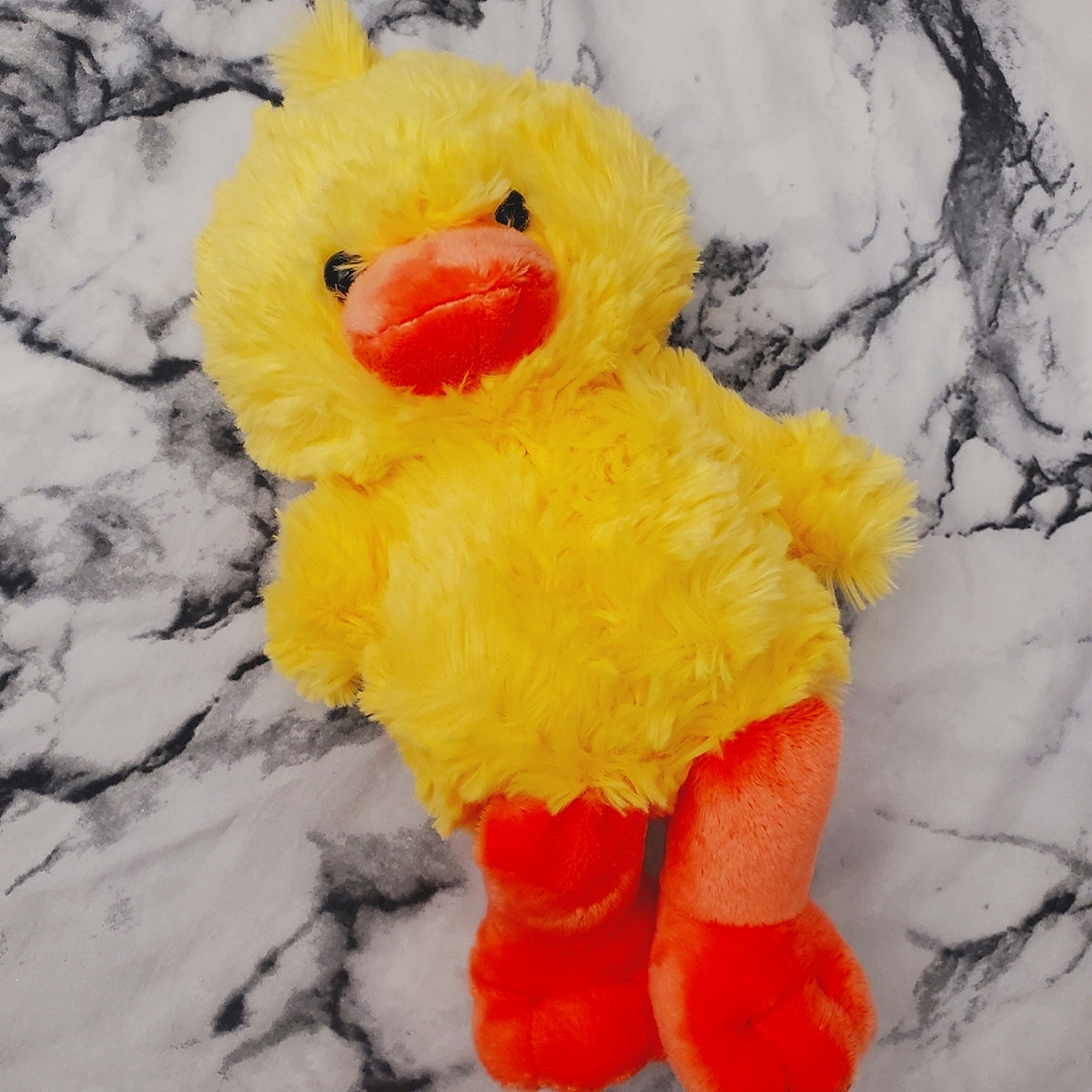Baby duck